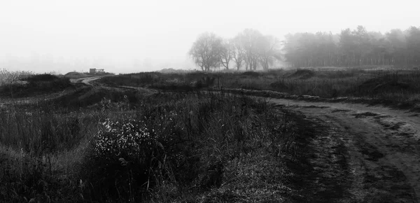 Herfst mistige landschap met dorp weg — Stockfoto