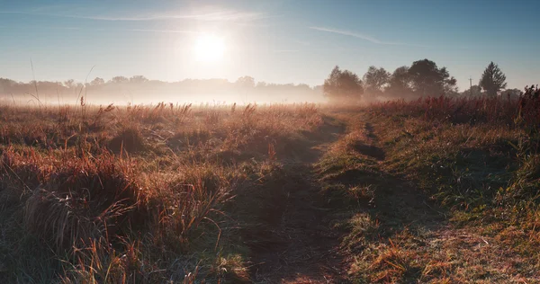 Paisaje rural con prado en niebla — Foto de Stock