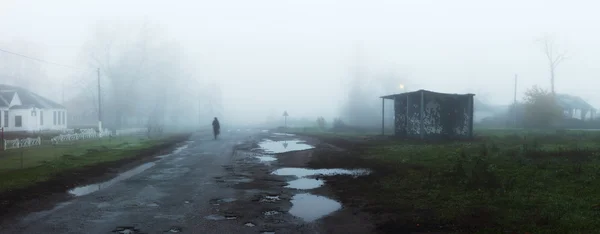 Paisagem rural com estrada e paragem de autocarro em nevoeiro — Fotografia de Stock