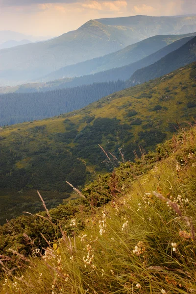 Verão paisagem de montanha — Fotografia de Stock