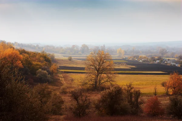 Autumn rural landscape in mist