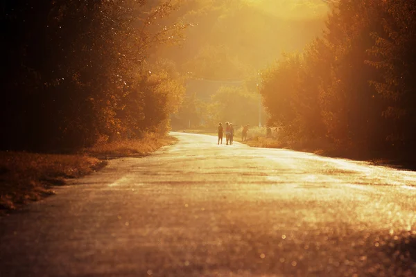 Abendsonniger Spaziergang — Stockfoto