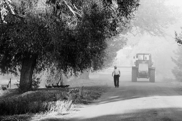 Çoban kazlar sürücüler