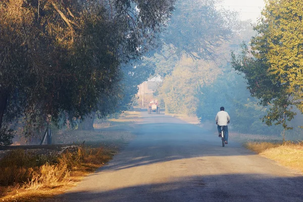 Bisikletçi yolda — Stok fotoğraf