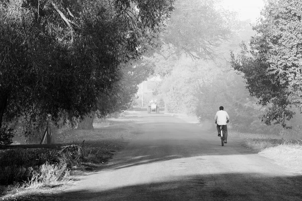 Bicyclist di jalan — Stok Foto