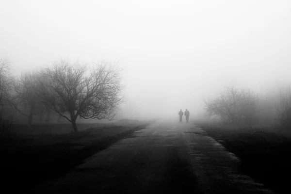 Wayfarers in fog — Stock Photo, Image