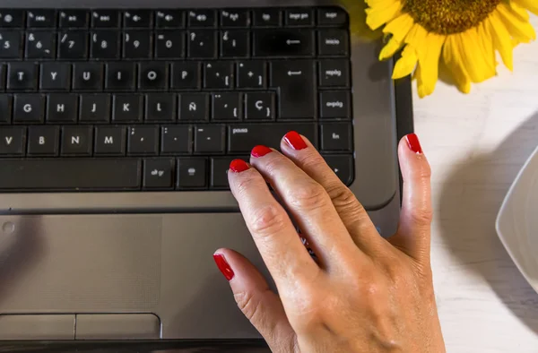 Mulher mãos no laptop — Fotografia de Stock