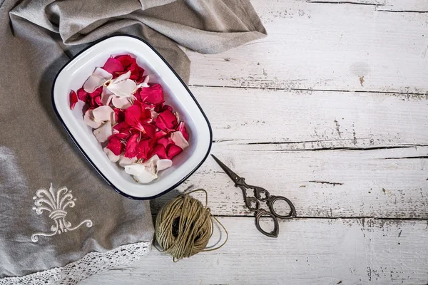 Profumo meraviglioso di petali di fiore rosso e bianco — Foto Stock
