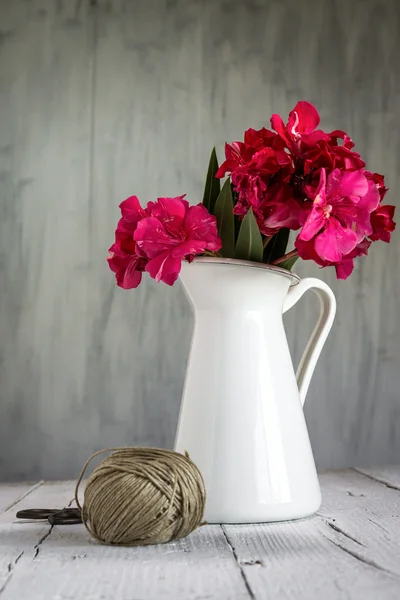 Röda blommor i vita kannan — Stockfoto