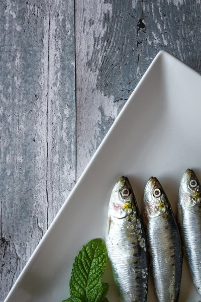 RAW sardiner med persilja och mynta — Stockfoto