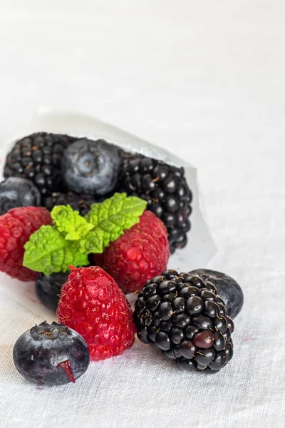 Gros plan de framboises, mûres, bleuets et feuilles de menthe — Photo