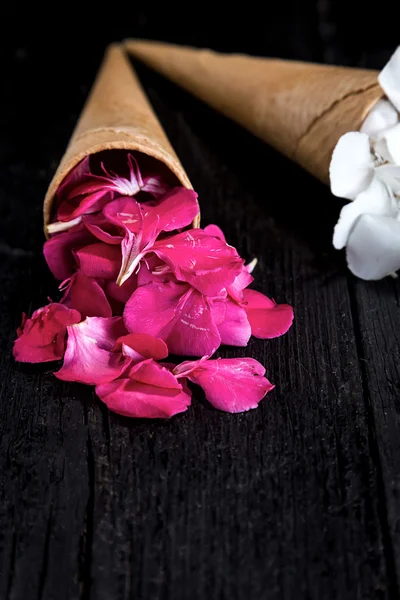 Pink and white flowers in ice cream cone on black background — Stock Photo, Image