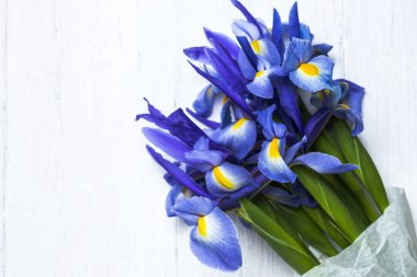 Yukarıdan kopyalanmış çiçek arkaplanı mavi zambaklar. Germen zambağı. Düz yatıyordu