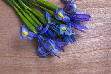 Yukarıdan kopyalanmış çiçek arkaplanı mavi zambaklar. Germen zambağı. Düz yatıyordu