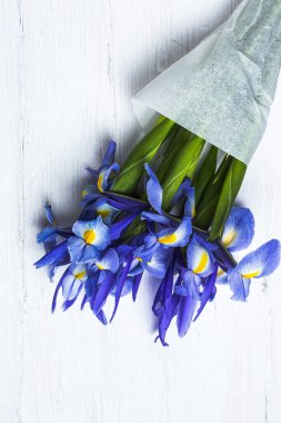 Yukarıdan kopyalanmış çiçek arkaplanı mavi zambaklar. Germen zambağı. Düz yatıyordu