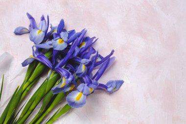 Yukarıdan kopyalanmış çiçek arkaplanı mavi zambaklar. Germen zambağı. Düz yatıyordu