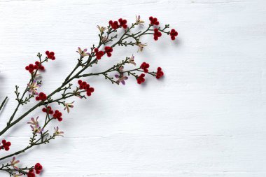 Kırmızı çiçekli arka plan için beyaz tahta dokusu