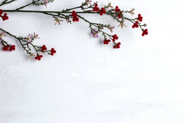 Kırmızı çiçekli arka plan için beyaz tahta dokusu