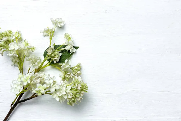 Kırmızı çiçekli arka plan için beyaz tahta dokusu