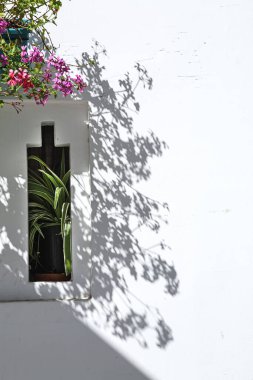 Eski Medine 'deki Arap mimarisi. Sokaklar, kapılar, pencereler, detaylar. Tanca, Fas