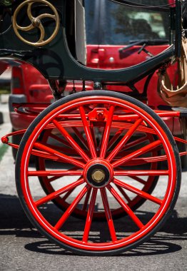 Tipik araba İspanyol atlar