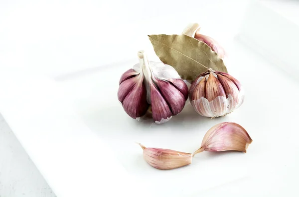 Purple garlic on white plate — Stock Photo, Image