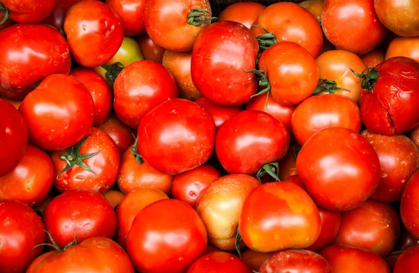 Tomates sucios sin lavar —  Fotos de Stock