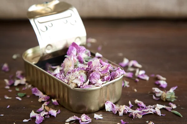 Lata de lata con flores rosadas —  Fotos de Stock