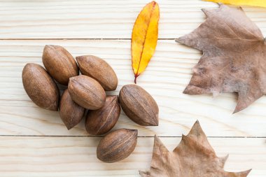 Sonbahar Yaprakları