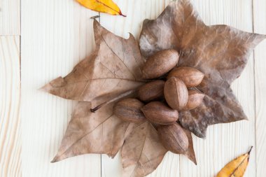 sonbahar yaprak ve meyve