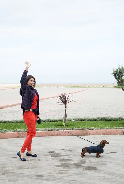 Mujeres paseando por la ciudad con perro salchicha —  Fotos de Stock