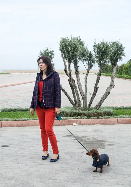 Women walking around town with dachshund dog — Stock Photo, Image