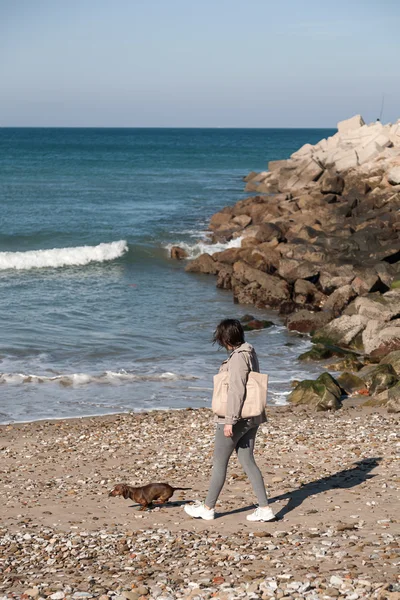 Women walking  with dachshund dog — Stock Photo, Image