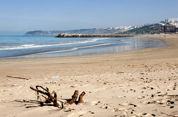 Lanskap dengan pantai berpasir Tangier, Maroko, Afrika — Stok Foto