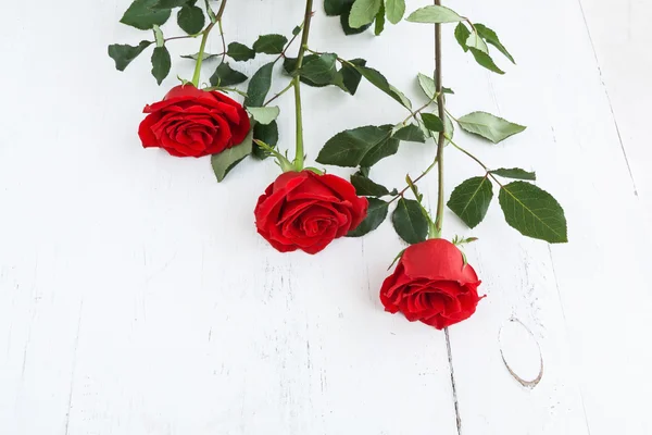 Red roses for Valentine's Day — Stock Photo, Image