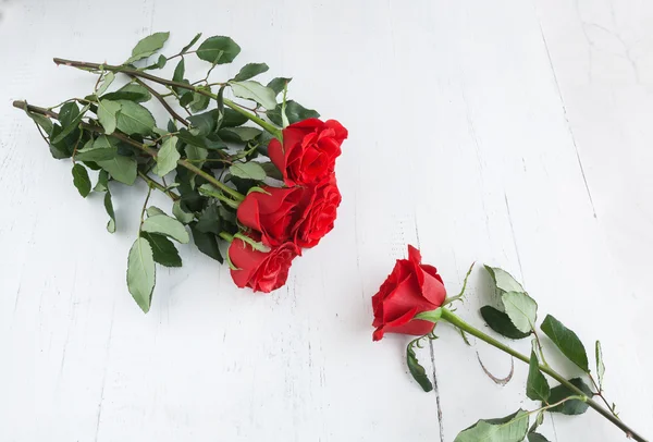 Sevgililer günü için kırmızı gül — Stok fotoğraf