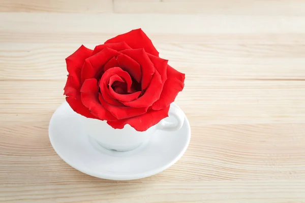 Red roses for Valentine's Day — Stock Photo, Image