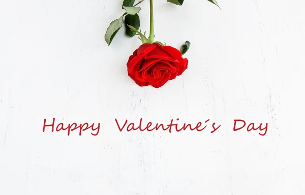 Red roses for Valentine's Day — Stock Photo, Image