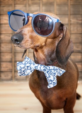 Çeşitli ekmekler beyaz arka plan üzerinde izole bileşimi