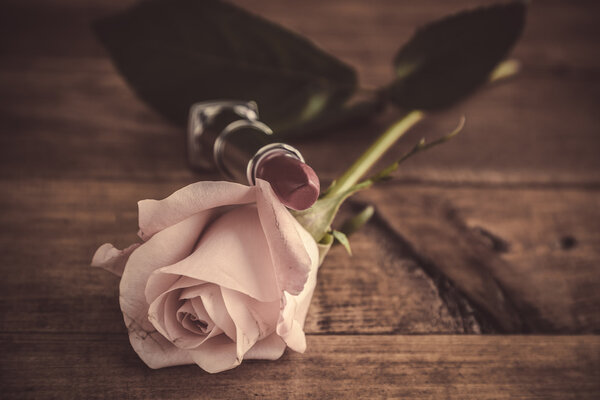 makeup brush and cosmetics 