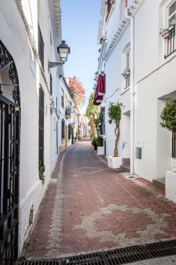 Andalucia köyleri çiçekli sokaklarda