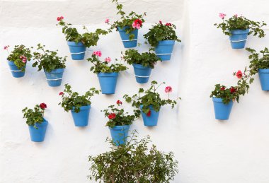 Andalucia köyleri çiçekli sokaklarda