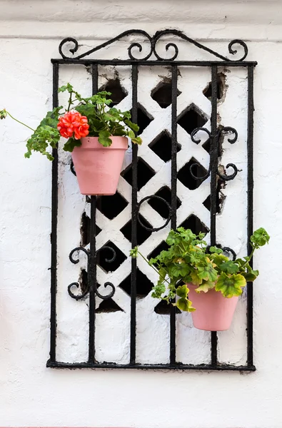 Byarna i Andalusien med blommor på gatorna — Stockfoto