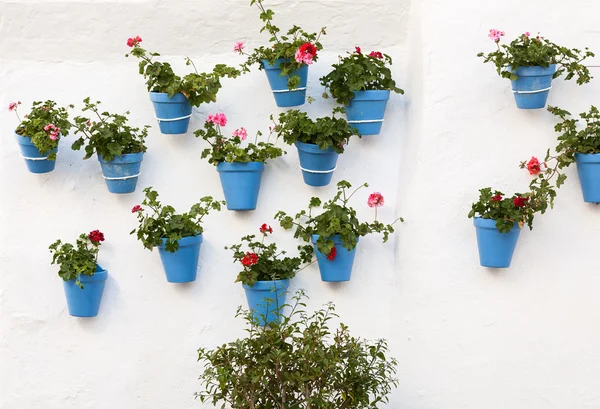 Vesnice Andalusie s květinami v ulicích — Stock fotografie