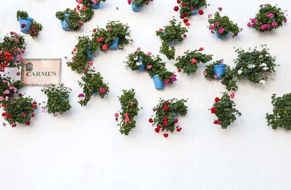 Villages d'Andalousie avec des fleurs dans les rues Images De Stock Libres De Droits