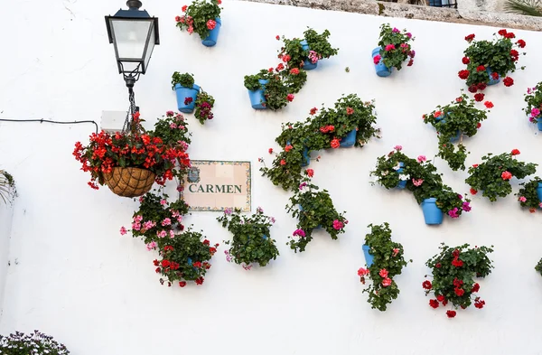 Villages d'Andalousie avec des fleurs dans les rues — Photo