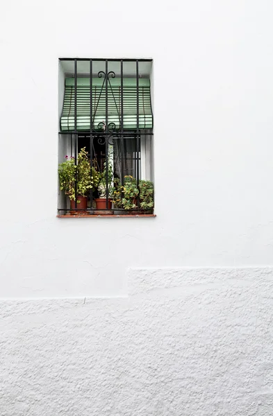 Byarna i Andalusien med blommor på gatorna — Stockfoto