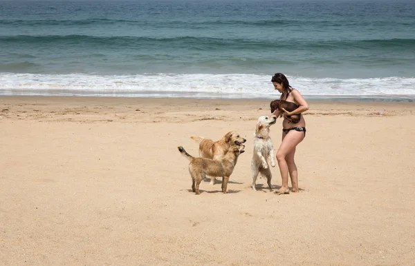 Mujer atractiva en la orilla del mar — Foto de Stock