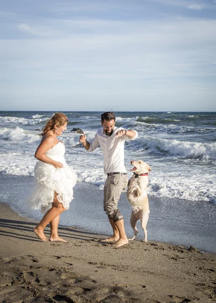 Wedding day at sea and in the forest Stock Image