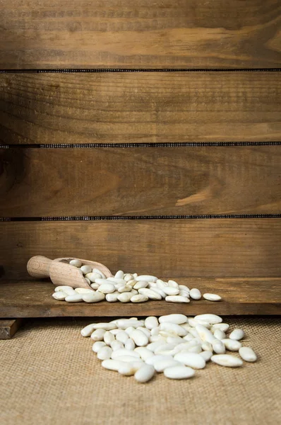 White beans on wooden table — Stock Photo, Image